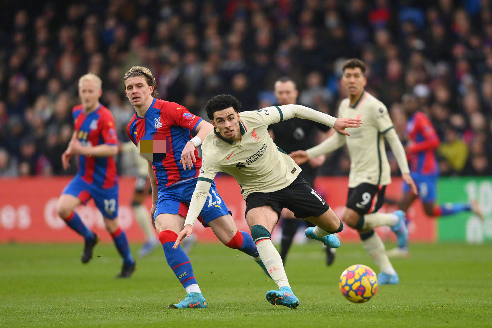 新月决心以 新月决心以